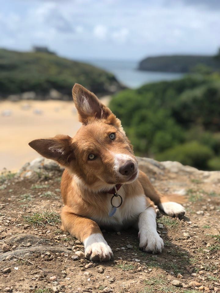 Swipe-Up Ty Chou De Kérel 
